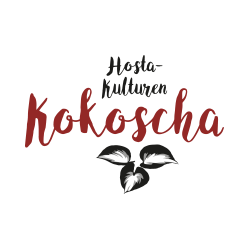 Hosta-Kulturen Kokoscha